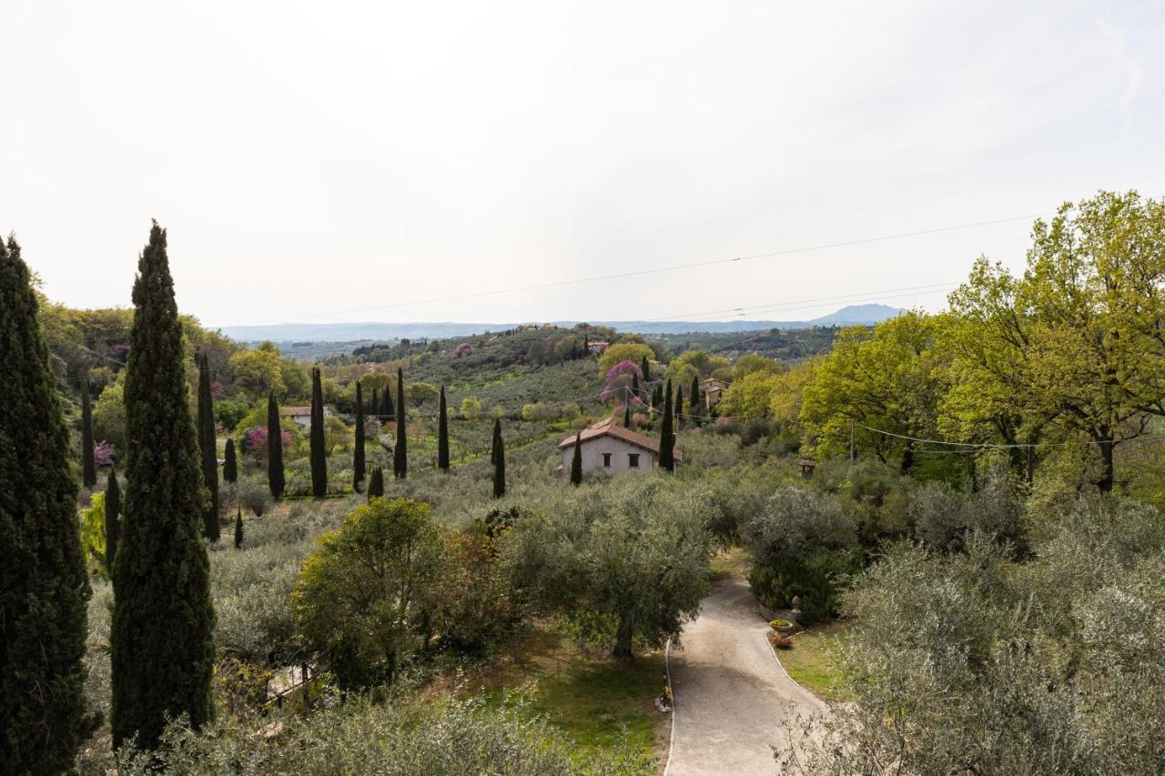 La Tana Delle Stelle B&B Di Charme E Relax Fara in Sabina Экстерьер фото