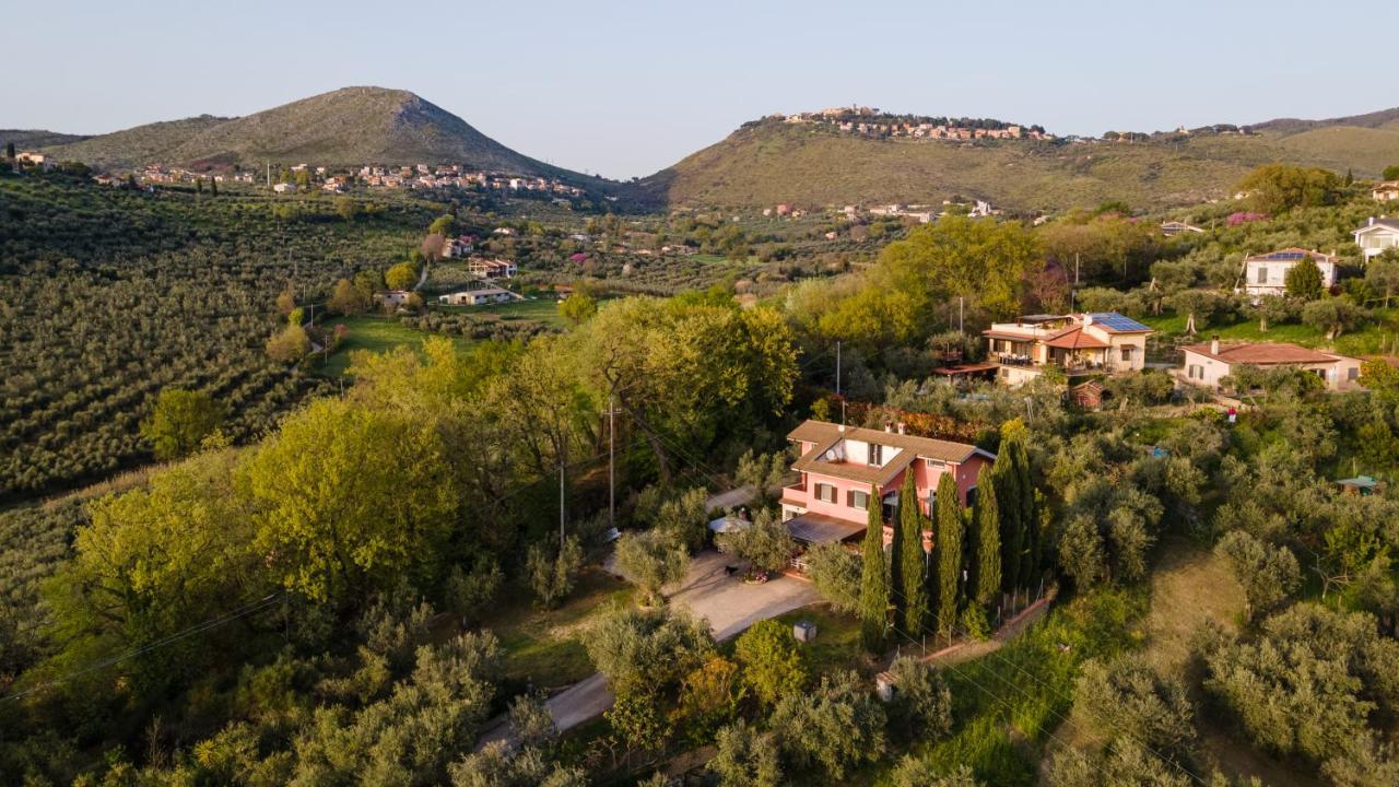 La Tana Delle Stelle B&B Di Charme E Relax Fara in Sabina Экстерьер фото