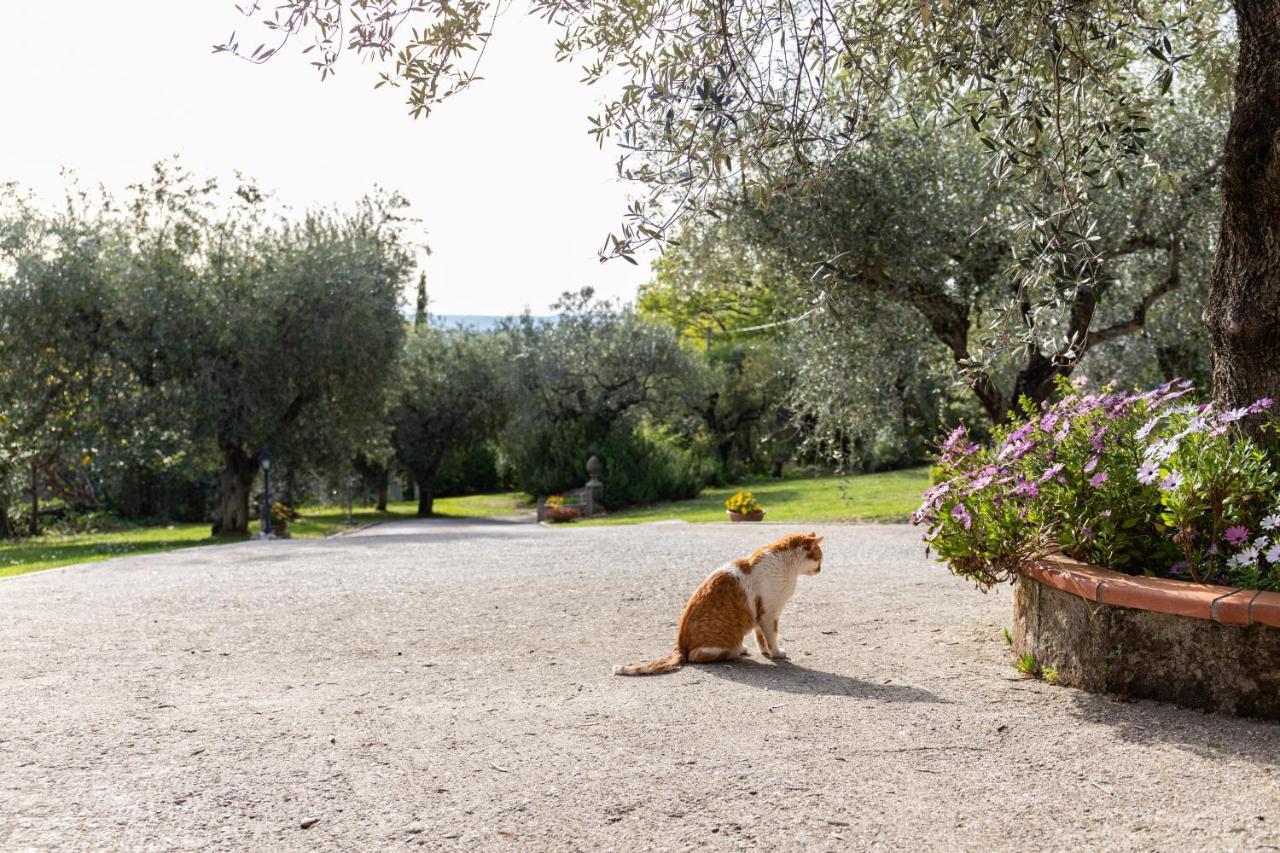 La Tana Delle Stelle B&B Di Charme E Relax Fara in Sabina Экстерьер фото