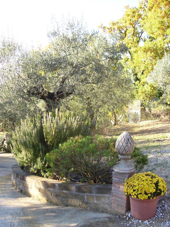 La Tana Delle Stelle B&B Di Charme E Relax Fara in Sabina Экстерьер фото